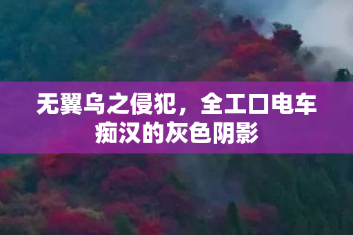 无翼乌之侵犯，全工口电车痴汉的灰色阴影