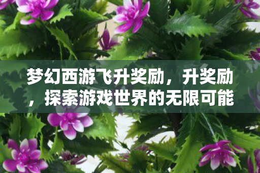 梦幻西游飞升奖励，升奖励，探索游戏世界的无限可能