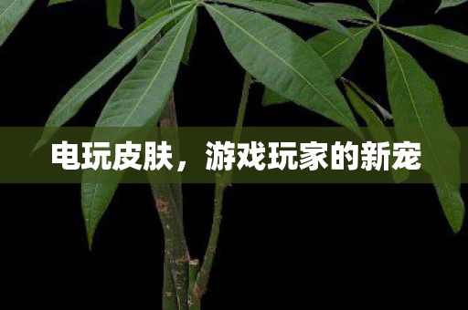 电玩皮肤，游戏玩家的新宠