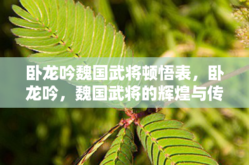 卧龙吟魏国武将顿悟表，卧龙吟，魏国武将的辉煌与传奇