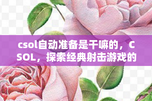 csol自动准备是干嘛的，CSOL，探索经典射击游戏的魅力与变迁
