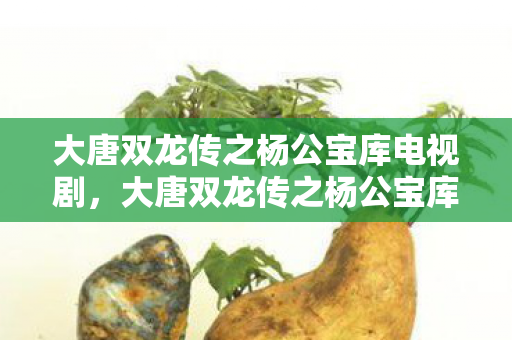 大唐双龙传之杨公宝库电视剧，大唐双龙传之杨公宝库，探寻传奇世界的无尽宝藏