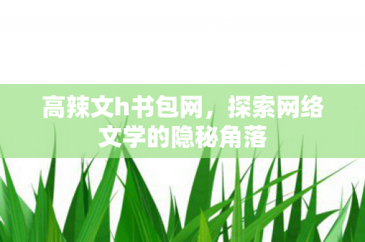 高辣文h书包网，探索网络文学的隐秘角落
