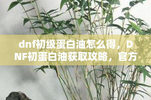 dnf初级蛋白油怎么得，DNF初蛋白油获取攻略，官方途径与高效方法