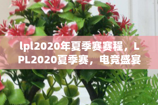 lpl2020年夏季赛赛程，LPL2020夏季赛，电竞盛宴的激情与荣耀
