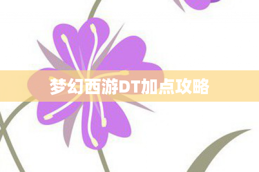 梦幻西游DT加点攻略 梦幻西游DT加点攻略
