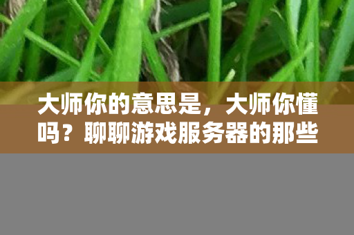 大师你的意思是，大师你懂吗？聊聊游戏服务器的那些事儿