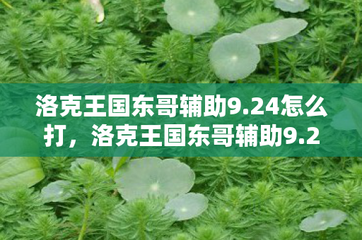 洛克王国东哥辅助9.24怎么打，洛克王国东哥辅助9.24，解锁游戏新体验，助力玩家畅游王国