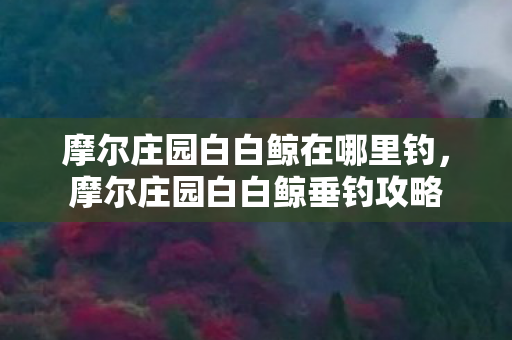摩尔庄园白白鲸在哪里钓，摩尔庄园白白鲸垂钓攻略