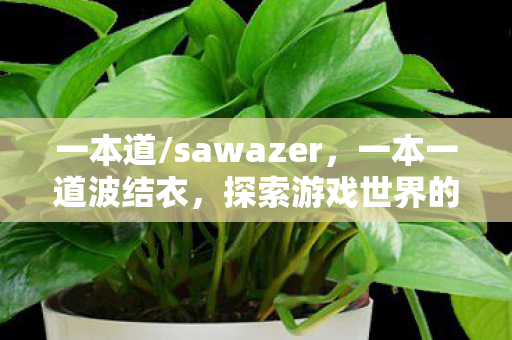 一本道/sawazer，一本一道波结衣，探索游戏世界的独特魅力