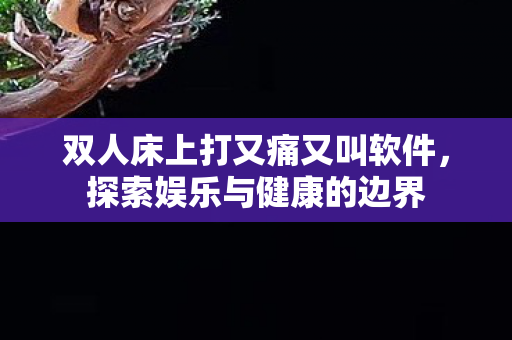 双人床上打又痛又叫软件，探索娱乐与健康的边界