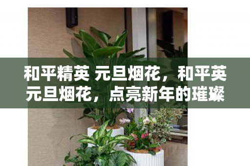 和平精英 元旦烟花，和平英元旦烟花，点亮新年的璀璨记忆