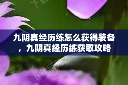 九阴真经历练怎么获得装备，九阴真经历练获取攻略