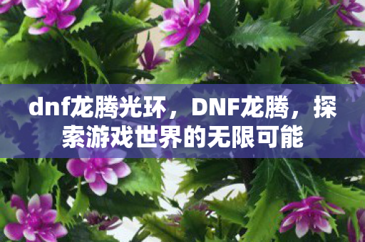 dnf龙腾光环，DNF龙腾，探索游戏世界的无限可能
