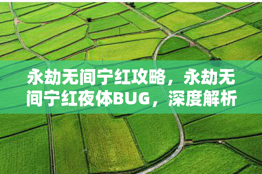 永劫无间宁红攻略，永劫无间宁红夜体BUG，深度解析与应对指南