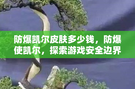 防爆凯尔皮肤多少钱，防爆使凯尔，探索游戏安全边界，守护数字世界的和平