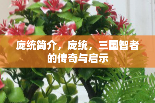 庞统简介，庞统，三国智者的传奇与启示