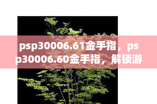 psp30006.61金手指，psp30006.60金手指，解锁游戏潜能的钥匙