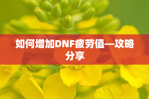 如何增加DNF疲劳值—攻略分享 如何增加DNF疲劳值—攻略分享