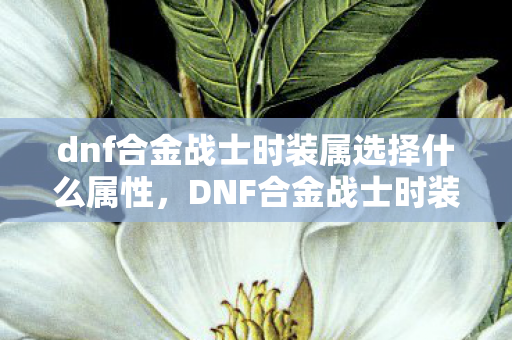 dnf合金战士时装属选择什么属性，DNF合金战士时装属选择，打造个性化战斗风格