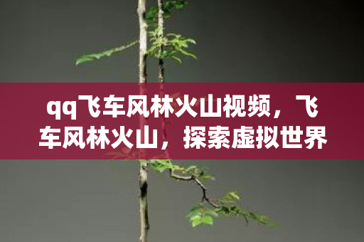 qq飞车风林火山视频，飞车风林火山，探索虚拟世界的速度与激情