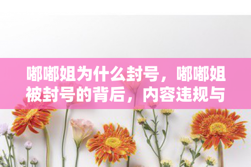 嘟嘟姐为什么封号，嘟嘟姐被封号的背后，内容违规与平台规则的碰撞