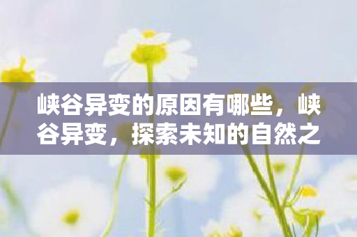 峡谷异变的原因有哪些，峡谷异变，探索未知的自然之谜