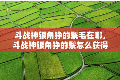 斗战神银角狰的鬃毛在哪，斗战神银角狰的鬃怎么获得