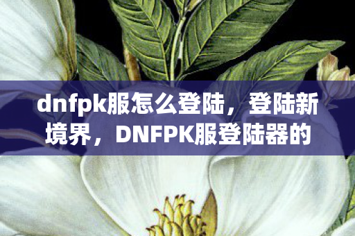 dnfpk服怎么登陆，登陆新境界，DNFPK服登陆器的便捷与高效