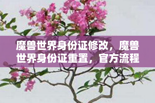 魔兽世界身份证修改，魔兽世界身份证重置，官方流程详解与注意事项