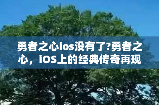 勇者之心ios没有了?勇者之心，iOS上的经典传奇再现