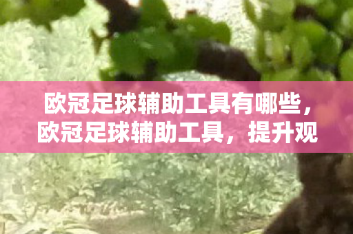 欧冠足球辅助工具有哪些，欧冠足球辅助工具，提升观赛体验，助力精准预测