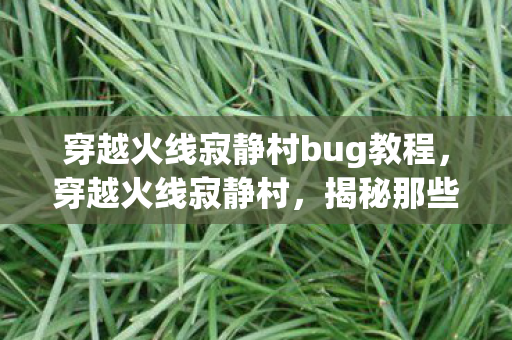 穿越火线寂静村bug教程，穿越火线寂静村，揭秘那些鲜为人知的BUG