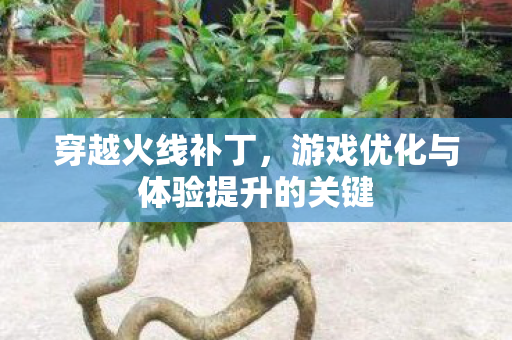 穿越火线补丁，游戏优化与体验提升的关键