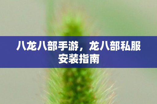 八龙八部手游，龙八部私服安装指南
