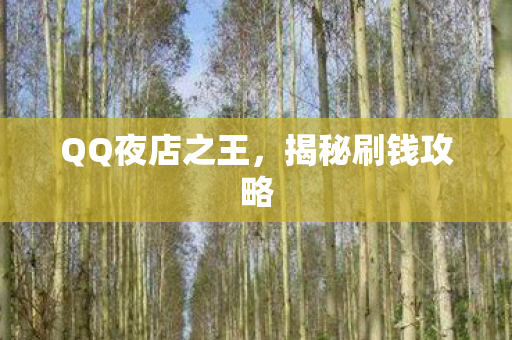 QQ夜店之王,揭秘刷钱攻略 QQ夜店之王,揭秘刷钱攻略