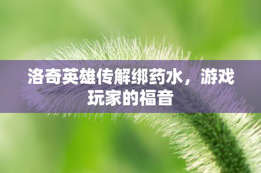 洛奇英雄传解绑药水,游戏玩家的福音 洛奇英雄传解绑药水,游戏玩家的福音