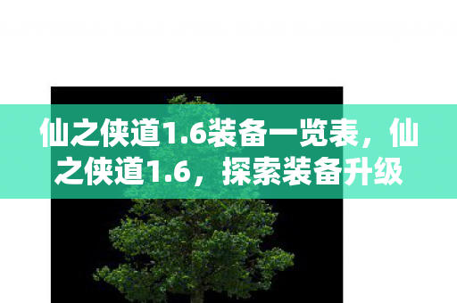 仙之侠道1.6装备一览表，仙之侠道1.6，探索装备升级与角色成长的奥秘