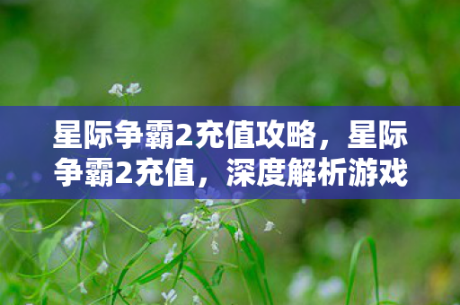 星际争霸2充值攻略，星际争霸2充值，深度解析游戏内购机制与玩家体验