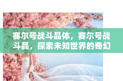 赛尔号战斗晶体，赛尔号战斗晶，探索未知世界的奇幻之旅