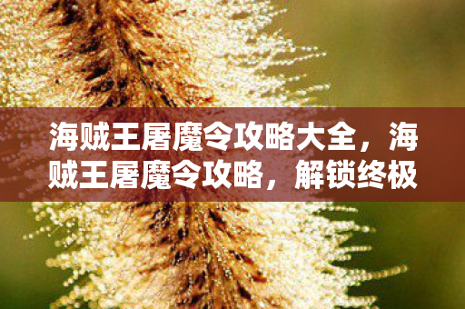 海贼王屠魔令攻略大全，海贼王屠魔令攻略，解锁终极战斗技巧