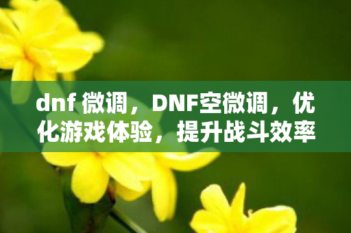 dnf 微调，DNF空微调，优化游戏体验，提升战斗效率