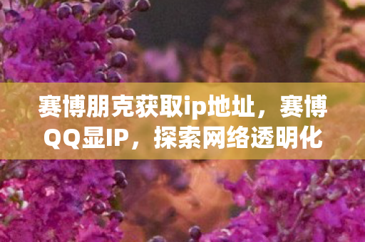 赛博朋克获取ip地址，赛博QQ显IP，探索网络透明化的新篇章