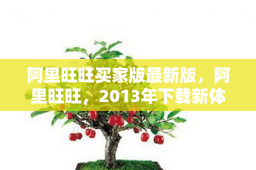 阿里旺旺买家版最新版，阿里旺旺，2013年下载新体验，便捷沟通从此开始
