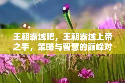 王朝霸域吧，王朝霸域上帝之手，策略与智慧的巅峰对决