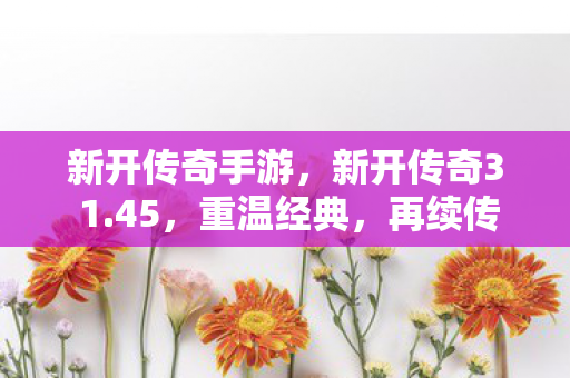 新开传奇手游，新开传奇3 1.45，重温经典，再续传奇