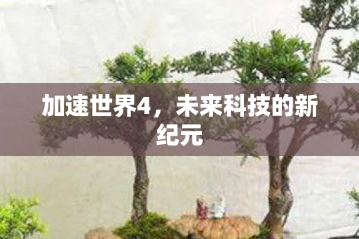 加速世界4，未来科技的新纪元