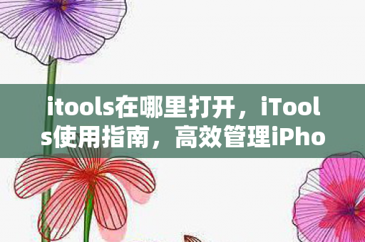 itools在哪里打开，iTools使用指南，高效管理iPhone与iPad