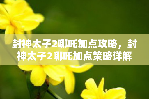 封神太子2哪吒加点攻略，封神太子2哪吒加点策略详解