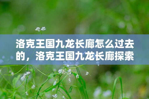 洛克王国九龙长廊怎么过去的，洛克王国九龙长廊探索指南